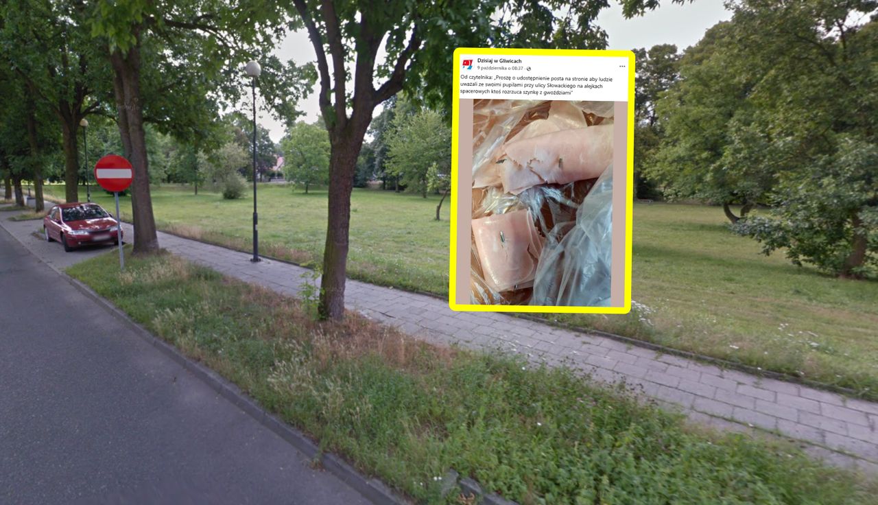 Alarm w polskim mieście. Ktoś rozrzuca taką szynkę