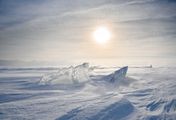 Pustynia lodowa: klimat, fauna, flora