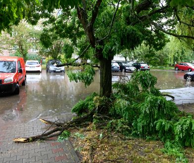 Poznań. Nawałnica przeszła przez stolicę Wielkopolski (GALERIA)