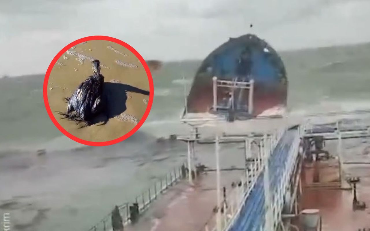 Fuel oil disaster strikes Kerch Strait: Beaches turn black