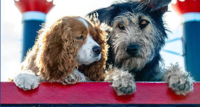 Film "Zakochany kundel" w Disney+. Premiera 12 listopada