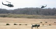 Bezzałogowe czworonogi. Służą w japońskich Lądowych Sił Samoobrony