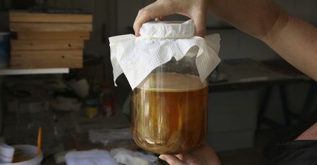 Herbata nieśmiertelności. Najlepszy napój zwłaszcza dla jelit