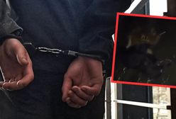 Młodzi oprawcy skatowali psa widłami. Wideo wrzucili do sieci