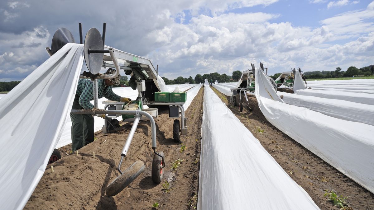 Polacy zostali poddani przymusowej kwarantannie w miejscu pracy 