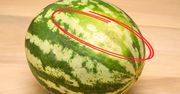 Tak rozpoznasz soczystego, słodkiego arbuza. Zwróć tylko uwagę na jedną rzecz
