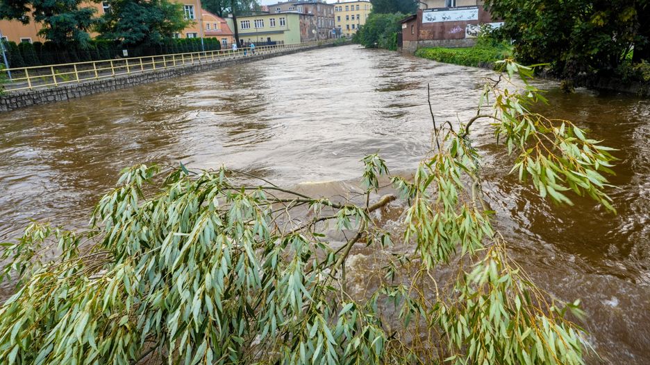 Jelenia G�ra Sobiesz�w
16.09.2024 Jelenia Gora . Osiedle Cieplice po przejsciu fali powodziowej .
Fot . Tomasz Pietrzyk / Agencja Wyborcza.pl
Fot. Tomasz Pietrzyk / Agencja Wyborcza.pl
jelenia gora, sobieszow, powodz, rzeka kamionka