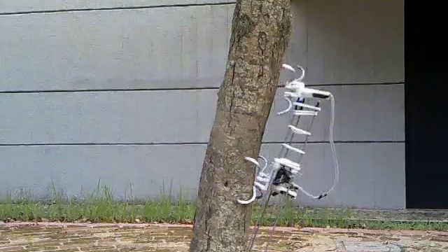 Wspinaczkowy robot czerpie wzorce z natury [wideo] 1