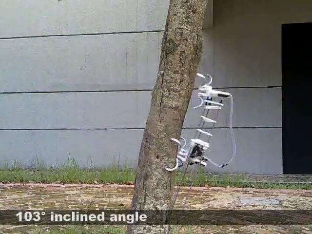 Wspinaczkowy robot czerpie wzorce z natury [wideo]