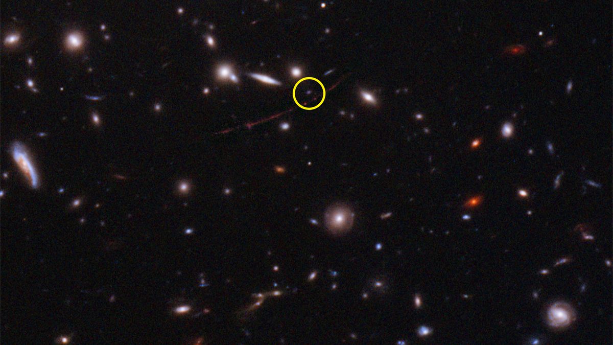 12,9 miliarda lat świetlnych. Ta gwiazda to najdalszy obiekt, którego zdjęcie powstało 1