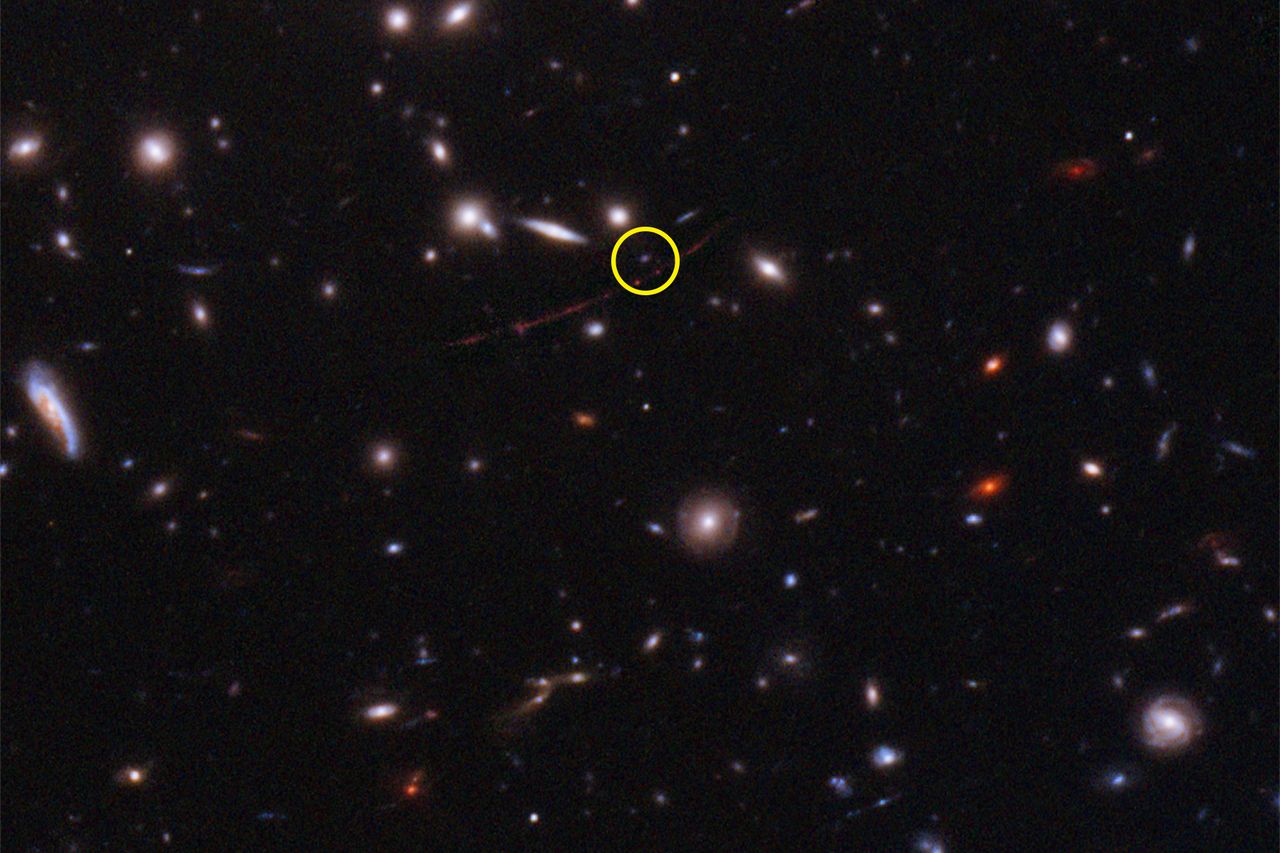12,9 miliarda lat świetlnych. Ta gwiazda to najdalszy obiekt, którego zdjęcie powstało
