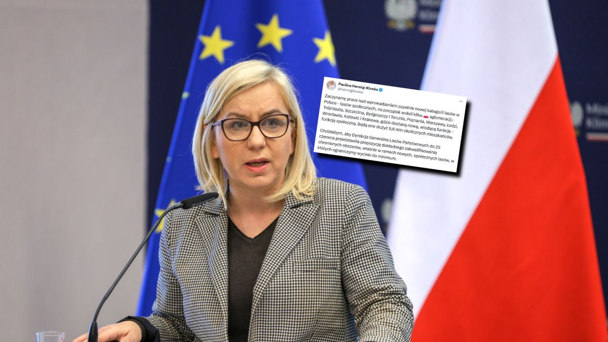 Będzie nowa kategoria lasów w Polsce. Minister Paulina Henning-Kloska zapowiada