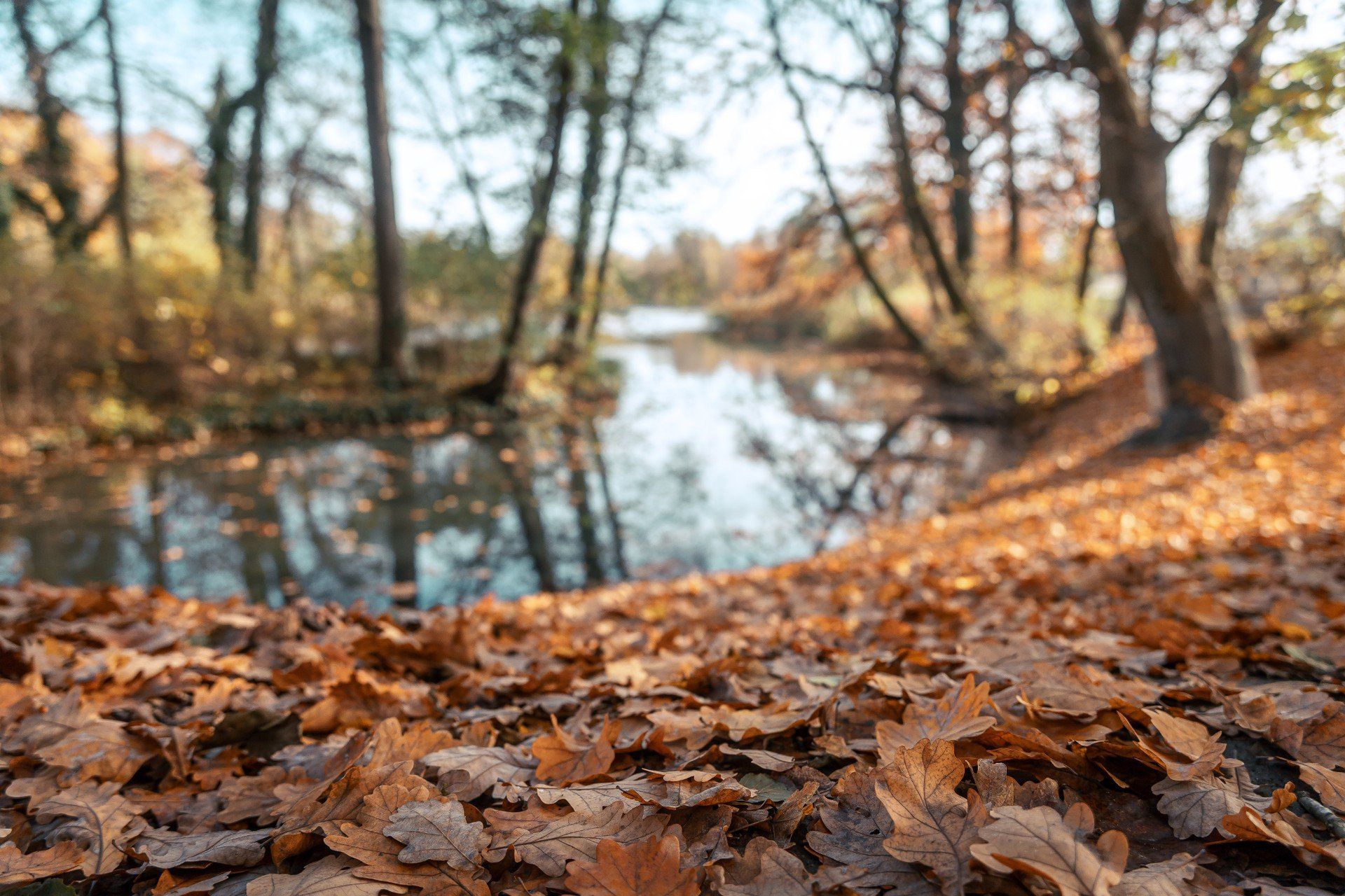 Temperatury maksymalne na Pomorzu na początku listopada są wyższe niż w maju tego roku