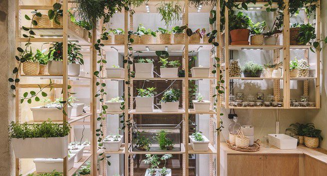 IKEA otwiera w Szczecinie Dom Jutra