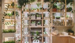 IKEA otwiera w Szczecinie Dom Jutra