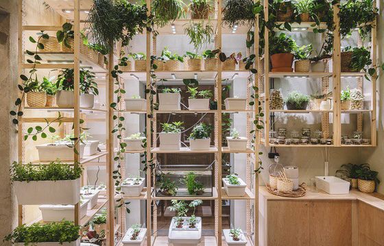 IKEA otwiera w Szczecinie Dom Jutra