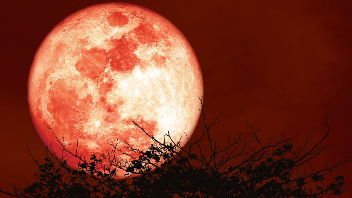 Truskawkowy Księżyc będzie można zobaczyć na polskim niebie