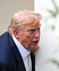 Cła Trumpa na UE. Mogło być znacznie gorzej, ale mało kto jest zadowolony [OPINIA]