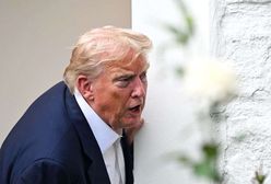 Cła Trumpa na UE. Mogło być znacznie gorzej, ale mało kto jest zadowolony [OPINIA]