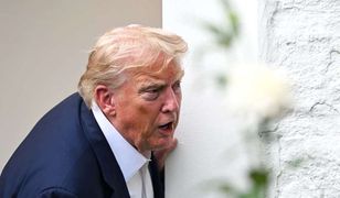 Cła Trumpa na UE. Mogło być znacznie gorzej, ale mało kto jest zadowolony [OPINIA]