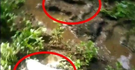 Ślady stóp nienaturalnej wielkości odkryte w Karolinie Północnej
