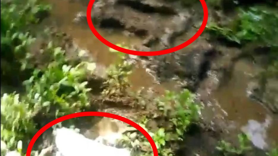 Nienaturalnie wielkie ślady w Karolinie Północnej