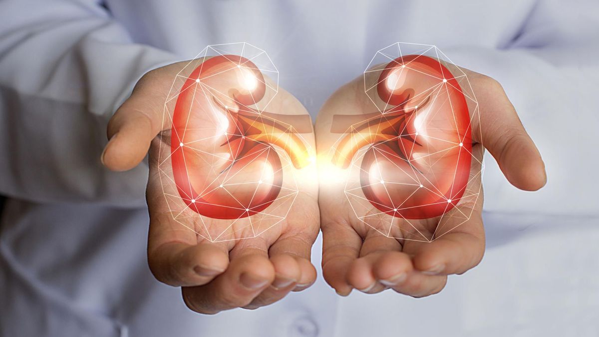 Ginjal Urit – żeby zdrowy był nasz układ moczowy