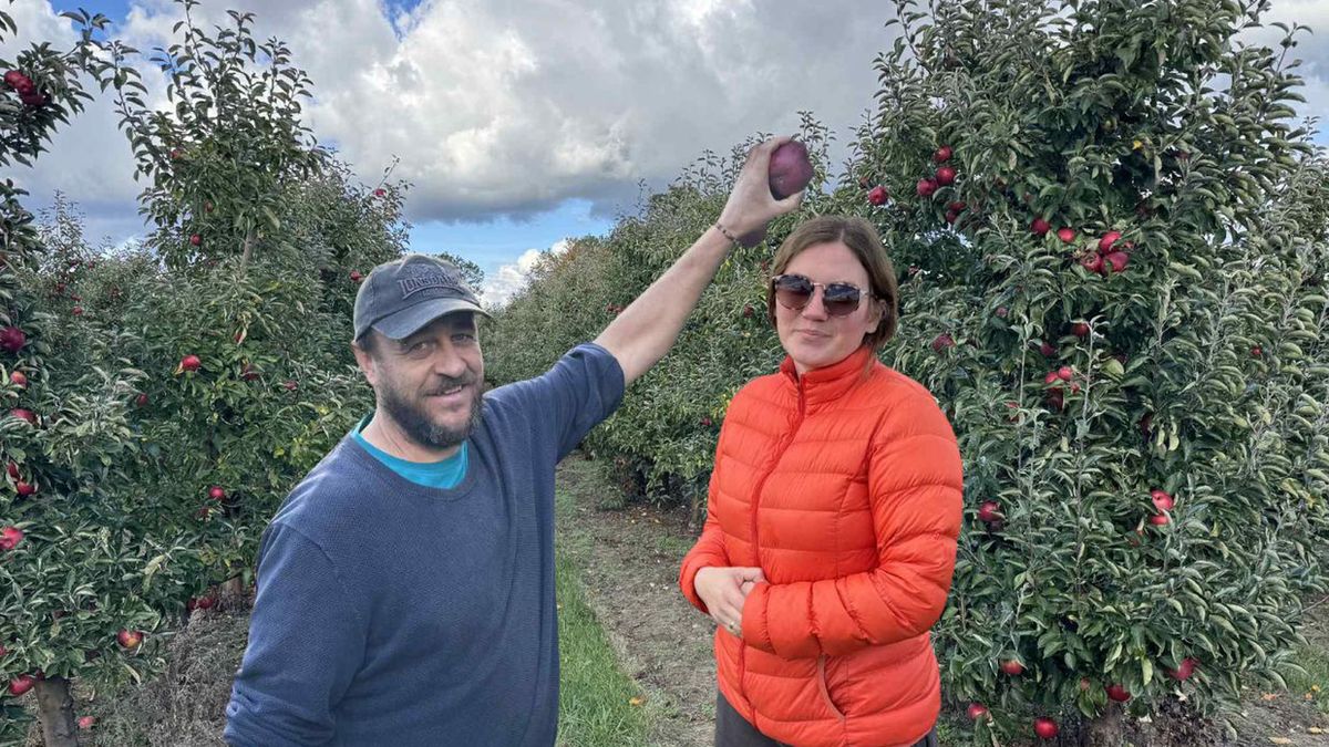 Samozbiory w powiecie grójeckim