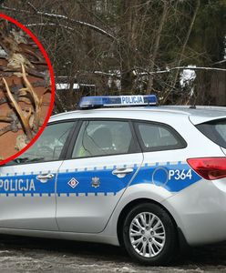 Nielegalny myśliwy. Policjanci nie spodziewali się tego, co zobaczyli