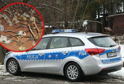 Nielegalny myśliwy. Policjanci nie spodziewali się tego, co zobaczyli