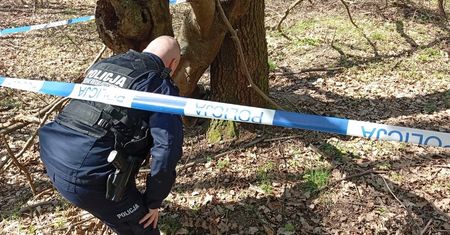 Granat moździerzowy z II wojny światowej znaleziony w lesie pod Miłakowem