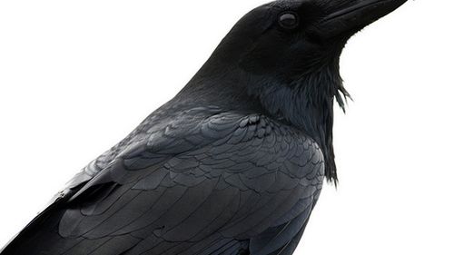 Najciekawsze reklamy polskich operatorów TOP 10 cz. 2 1