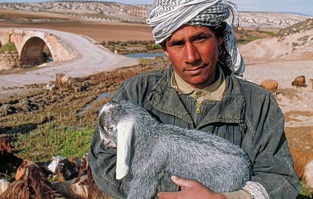 Syria: na biblijnym szlaku