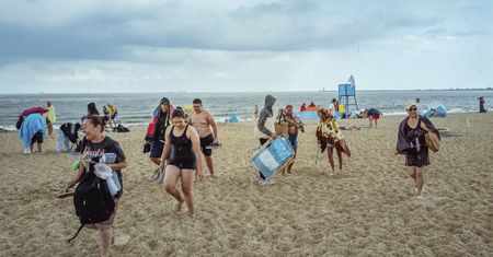 Dziki na plaży w Gdańsku. Popłoch wśród plażowiczów