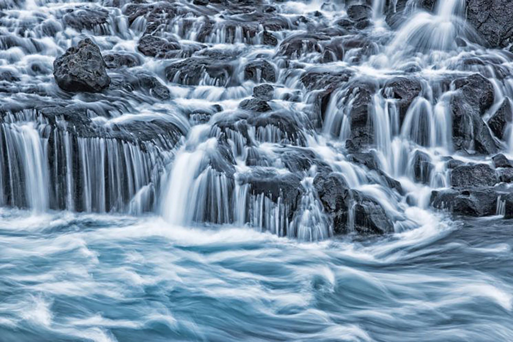 Najpiękniejsze zdjęcia przyrody w konkursie GDT Nature Photographer of the Year 18