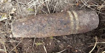 Trzciana: Znalazła duży niewybuch podczas spaceru. Interwencja pirotechników