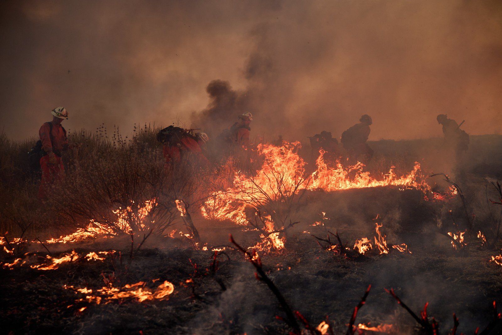 Canyon Fire