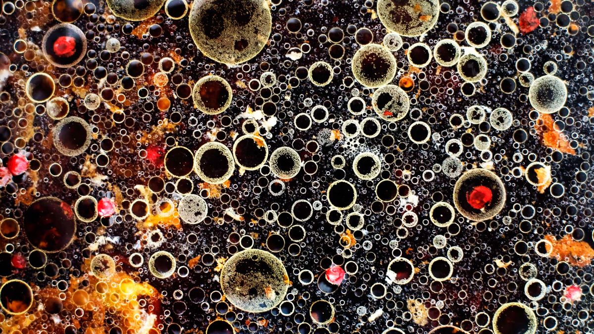 Adrian Mueller sfotografował abstrakcyjne wzory, które powstają podczas gotowania 1