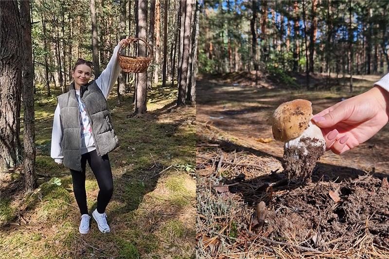 Daria na grzybobraniu. Sprawdziła ile grzybów można zebrać w godzinę