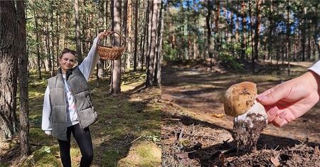 Daria na grzybobraniu. Sprawdziła ile grzybów można zebrać w godzinę