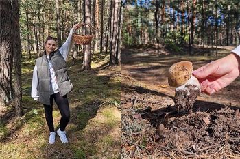 Daria na grzybobraniu. Sprawdziła ile grzybów można zebrać w godzinę