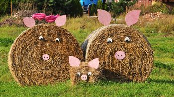 Przysietnica: Wielkie święto plonów. Znamy datę dożynek
