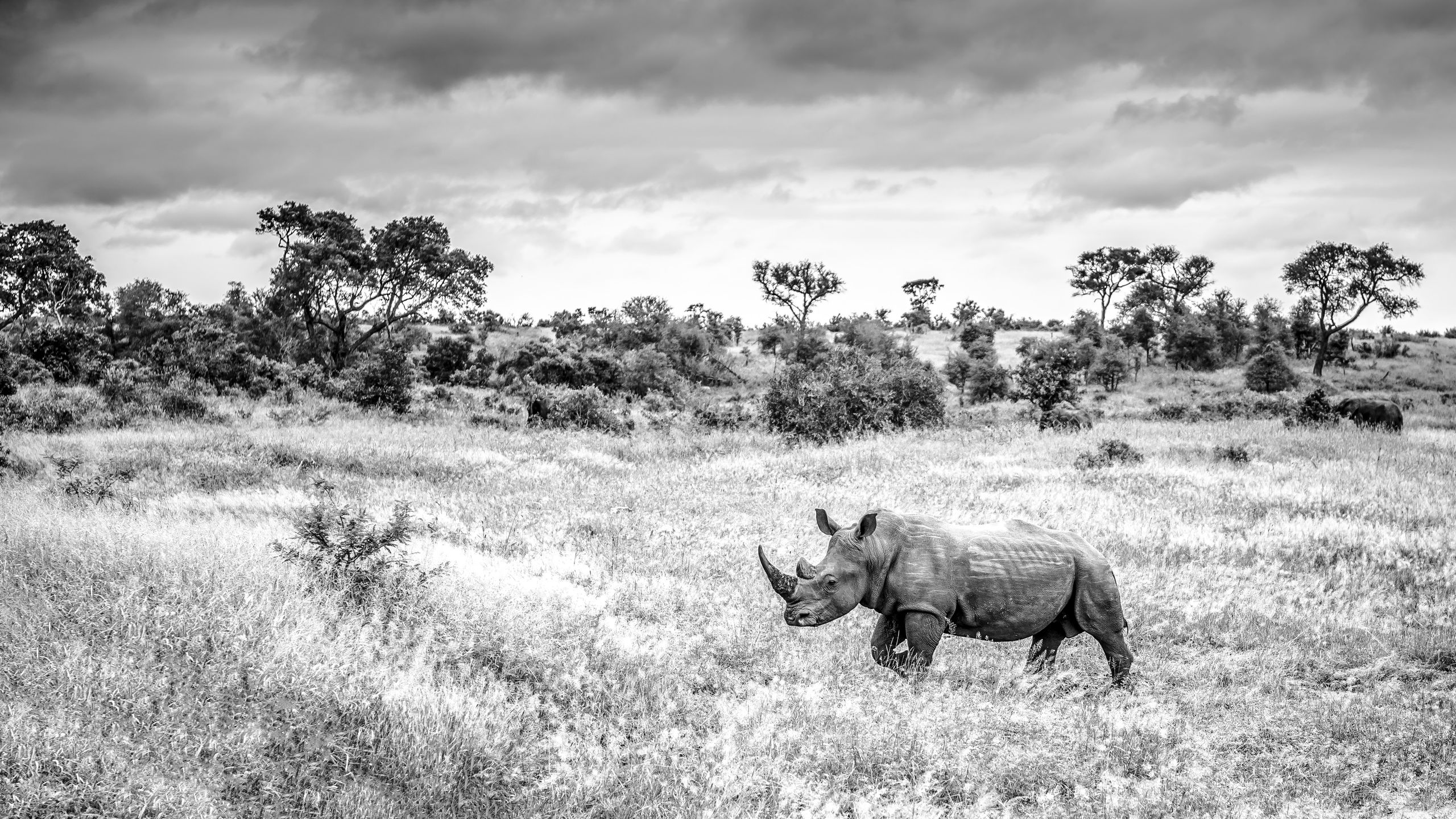 Sony World Photography Awards 2018 - pierwsze zgłoszenia pokazują potencjał konkursu 12