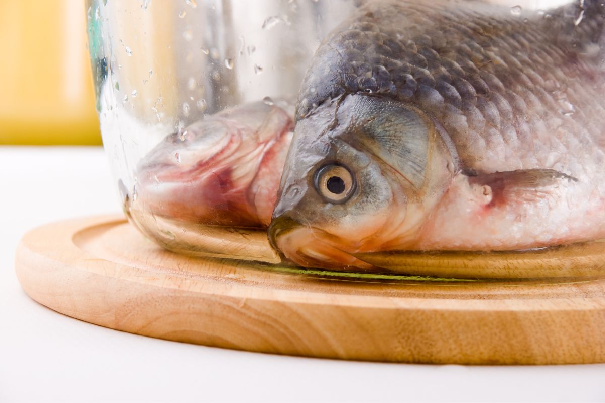 Carp is not that difficult to prepare. You just need to know how to do it.