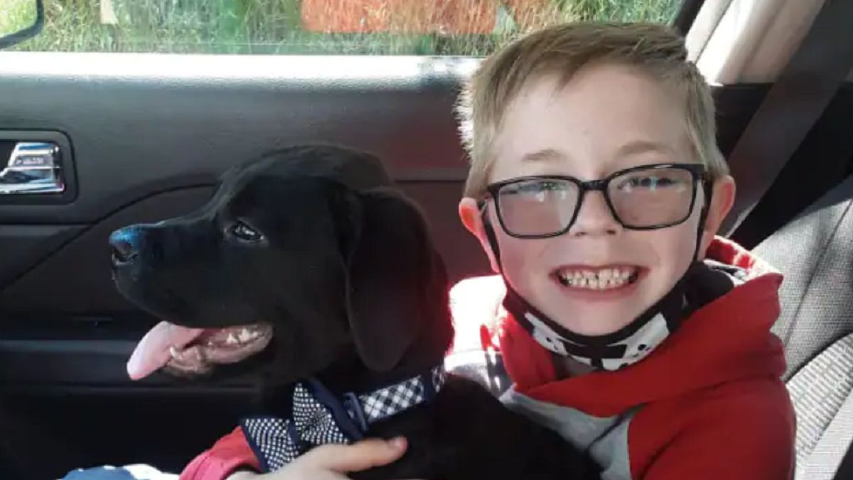 Chciał uratować psa, sprzedał swoją kolekcję Pokemonów