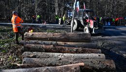 Rząd szykuje duże zmiany w lasach. Do akcji wkroczą sądy