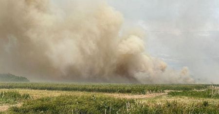 Ogromny pożar w Biebrzańskim Parku Narodowym. Do akcji gaśniczej skierowano 30 zastępów straży