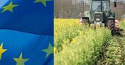 Komisja Europejska upraszcza politykę rolną. Mniej kontroli, więcej wsparcia