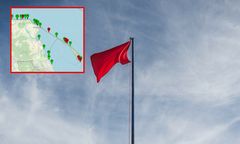 Czerwone flagi m.in. w Chałupach i Gdańsku. Powodem nie tylko sinice