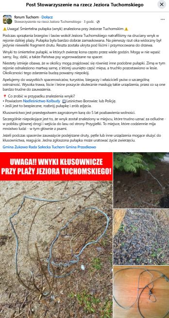 Mimo licznych apeli i ostrzeżłusownicy są w Polsce nadal aktywni